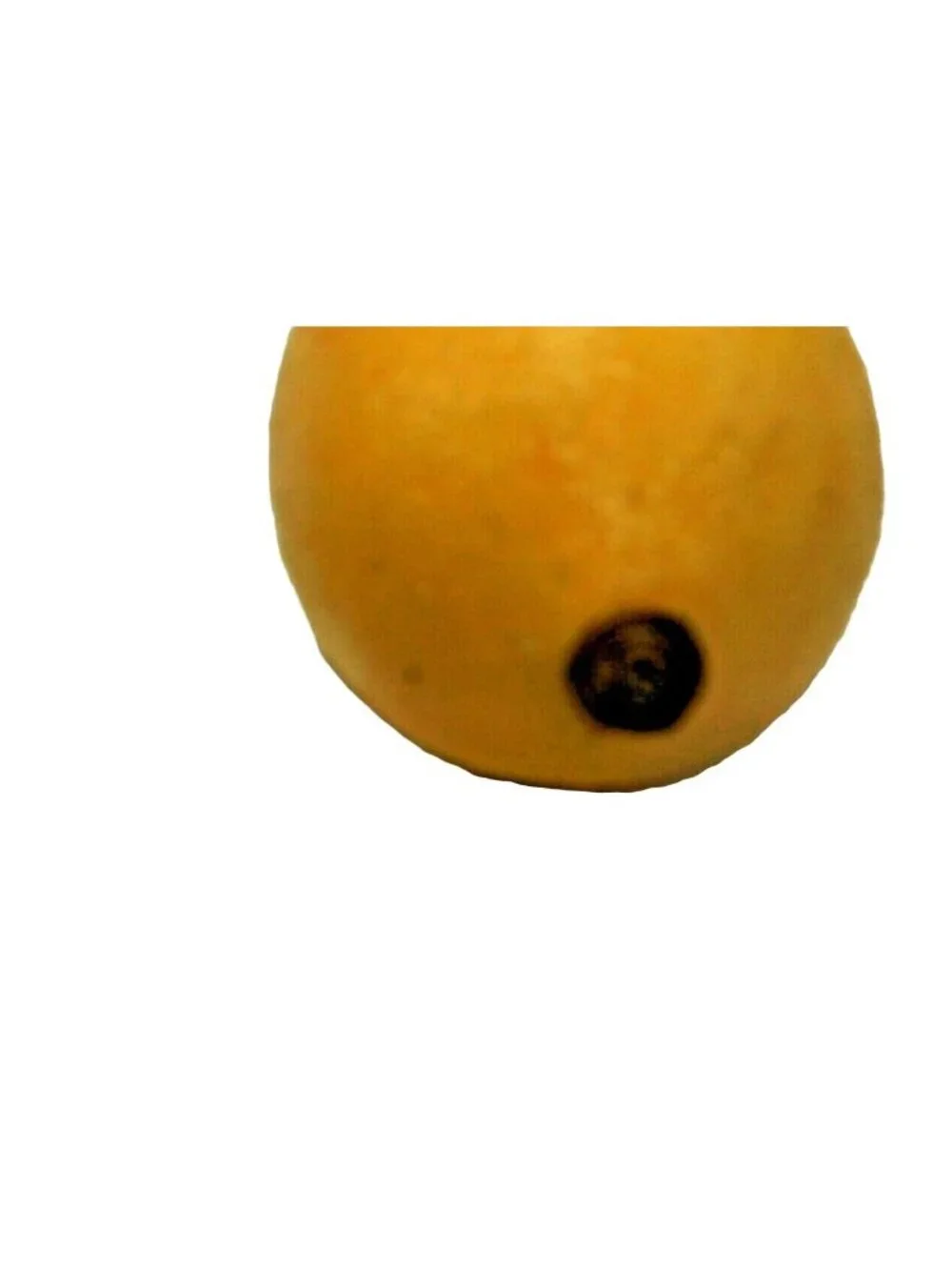 Artificial Lemon Plastic Fruit